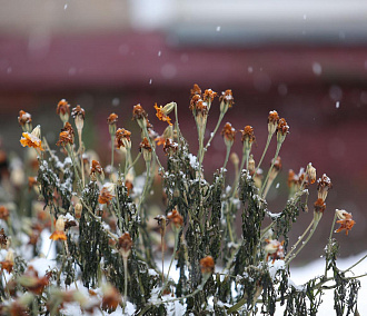 Новосибирцы радуются первому снегу в Instagram