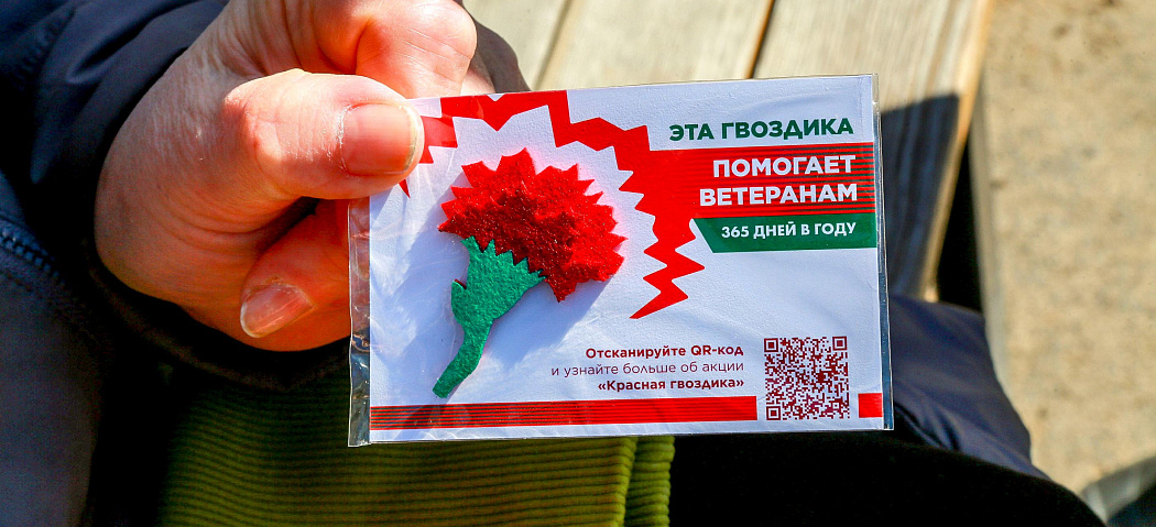 На улицах Новосибирска раздают значки-гвоздики за помощь ветеранам