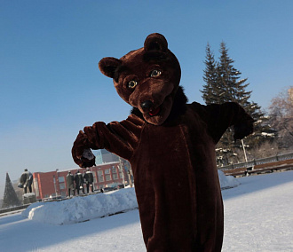 «Косолапый, ты не замёрз?»: в Новосибирске появился официальный медведь