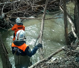 Спасатели разобрали затор из деревьев в русле 2-й Ельцовки